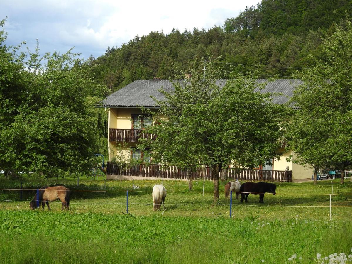 סנט קנזיאן Apartment Am Ponyhof מראה חיצוני תמונה
